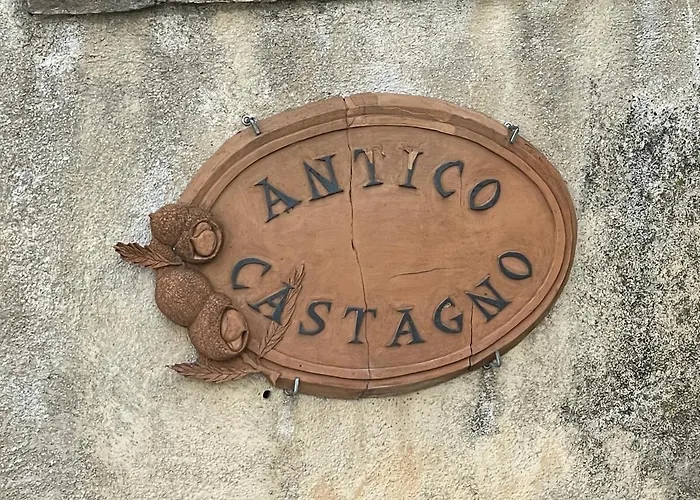 Alloggio per agriturismo Agriturismo Antico Castagno Montebibico